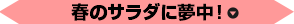 春のサラダに夢中！