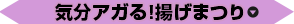 気分アガる！揚げまつり