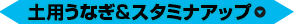 土用うなぎ＆スタミナアップ