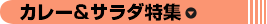 カレー＆サラダ特集