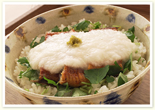 うなぎの山かけ丼
